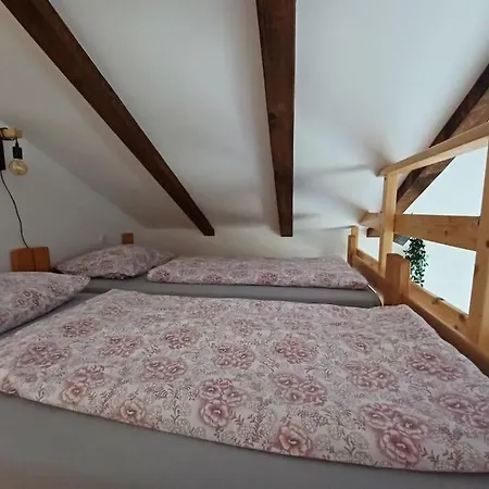 Apartmán Zara - Fužine *